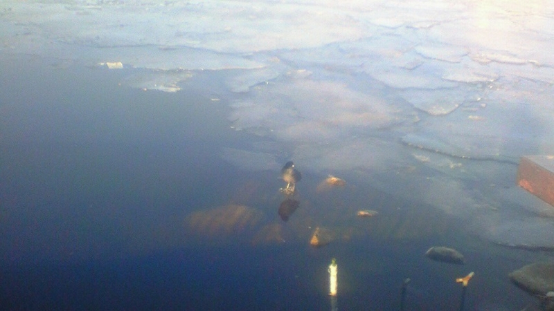 f:id:stantsiya_iriya:20170202084234j:image