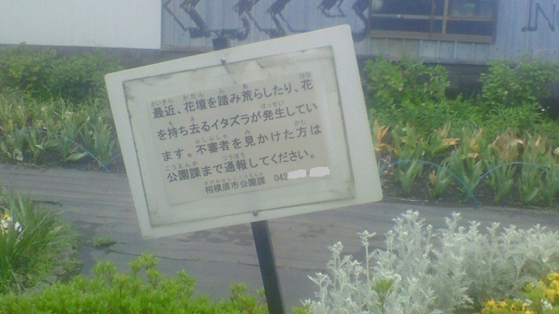 ふみあらす