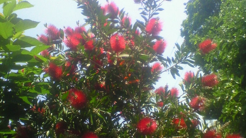 f:id:stantsiya_iriya:20170521121409j:image