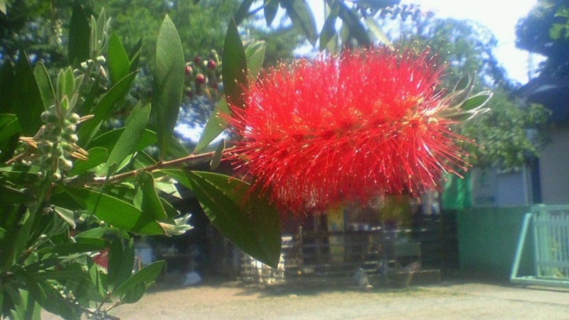 f:id:stantsiya_iriya:20170521121410j:image