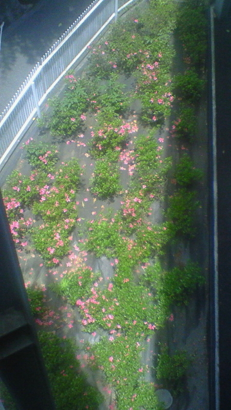 f:id:stantsiya_iriya:20170603220847j:image:left