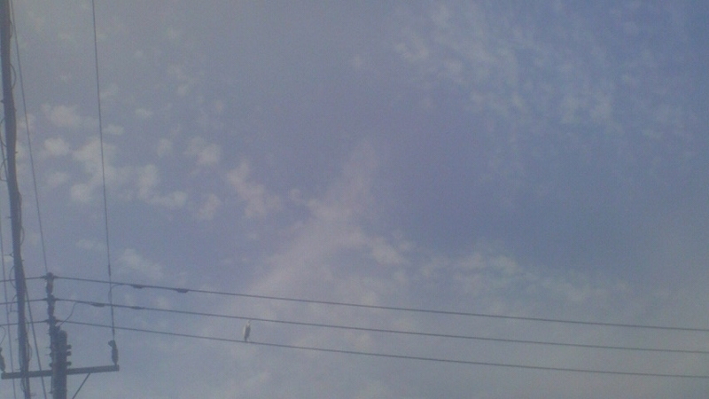 f:id:stantsiya_iriya:20170827091908j:image f:id:stantsiya_iriya:20170827091908j:image