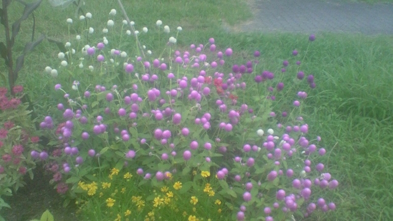 f:id:stantsiya_iriya:20170828213016j:image