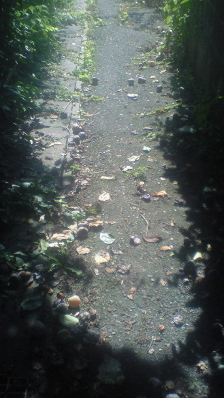 f:id:stantsiya_iriya:20170828213213j:image