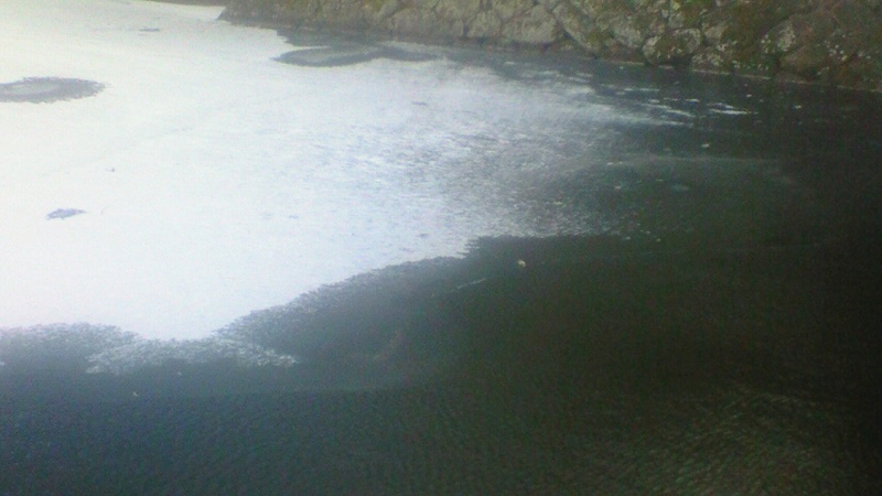 f:id:stantsiya_iriya:20171218010537j:image