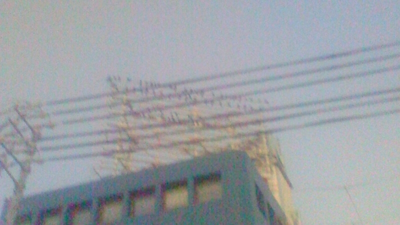 f:id:stantsiya_iriya:20171218010550j:image