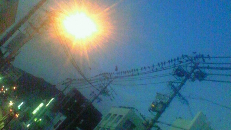 f:id:stantsiya_iriya:20171218010552j:image