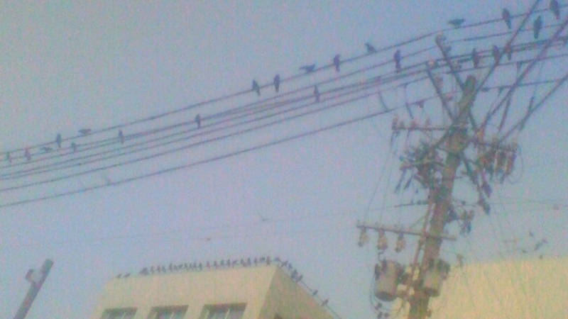 f:id:stantsiya_iriya:20171218010553j:image