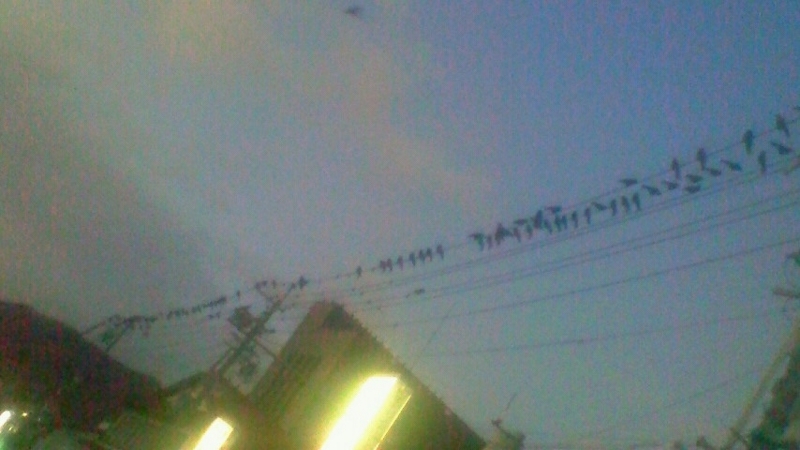 f:id:stantsiya_iriya:20171218010554j:image