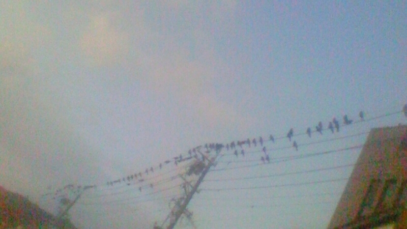 f:id:stantsiya_iriya:20171218010555j:image