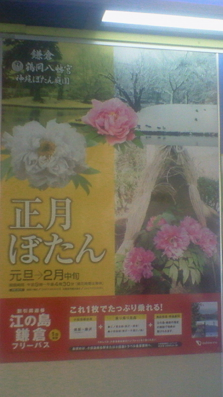 f:id:stantsiya_iriya:20171228224021j:image:left