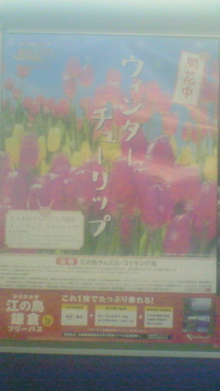 f:id:stantsiya_iriya:20180115193113j:image:left