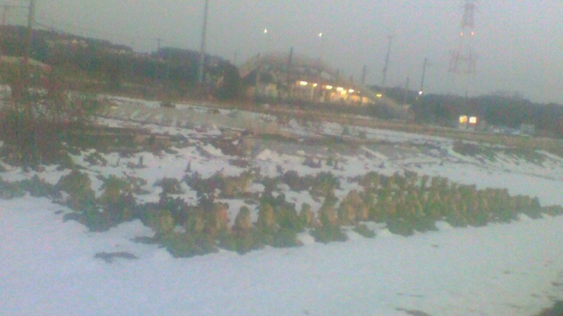 f:id:stantsiya_iriya:20180124191455j:image