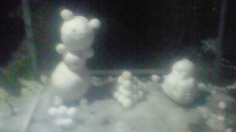 f:id:stantsiya_iriya:20180124191456j:image