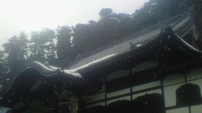 f:id:stantsiya_iriya:20180130214839j:image