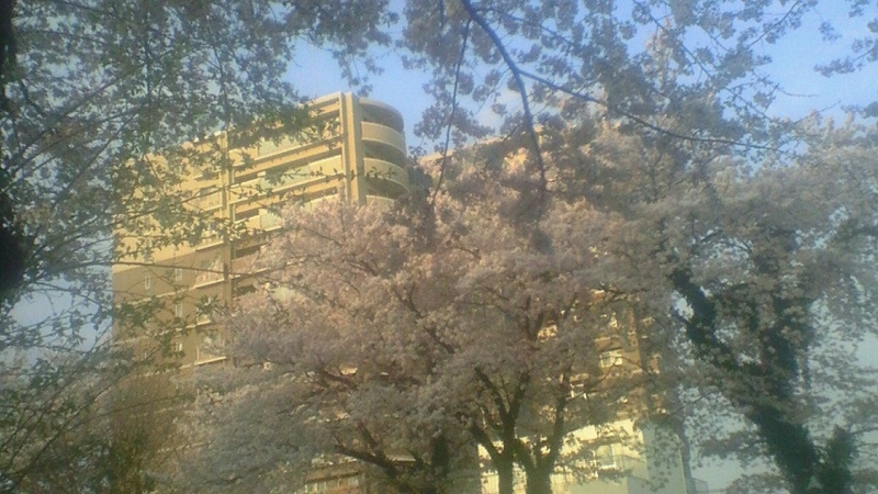 f:id:stantsiya_iriya:20180331193854j:image