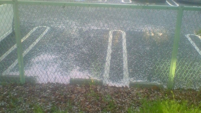 f:id:stantsiya_iriya:20180331193855j:image