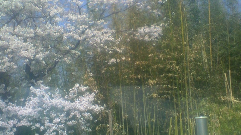 f:id:stantsiya_iriya:20180401232942j:image