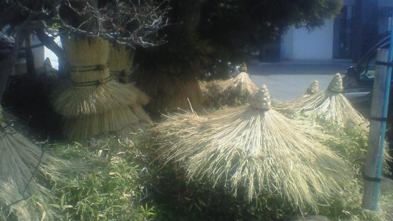 f:id:stantsiya_iriya:20180401232945j:image