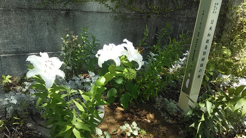 f:id:stantsiya_iriya:20180703100528j:image