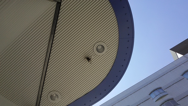 f:id:stantsiya_iriya:20180723184424j:image