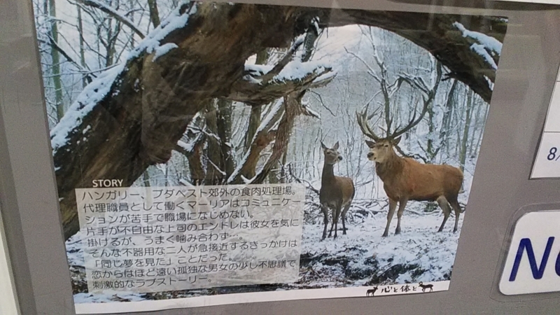 f:id:stantsiya_iriya:20180809072838j:image