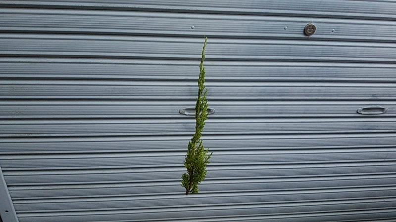 そしてイニエスタ湘南来襲の週末は終わりました 勿論見れませんでした Stantsiya Iriya