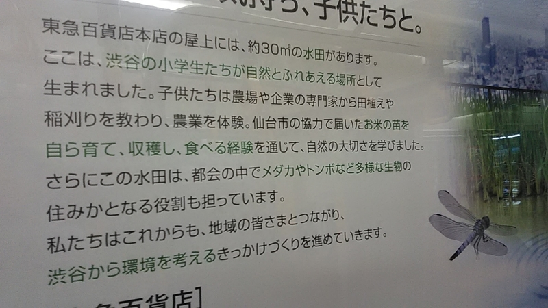 f:id:stantsiya_iriya:20180911160811j:image