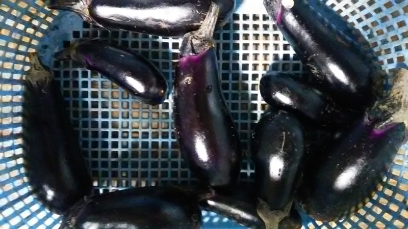 f:id:stantsiya_iriya:20180926200718j:image