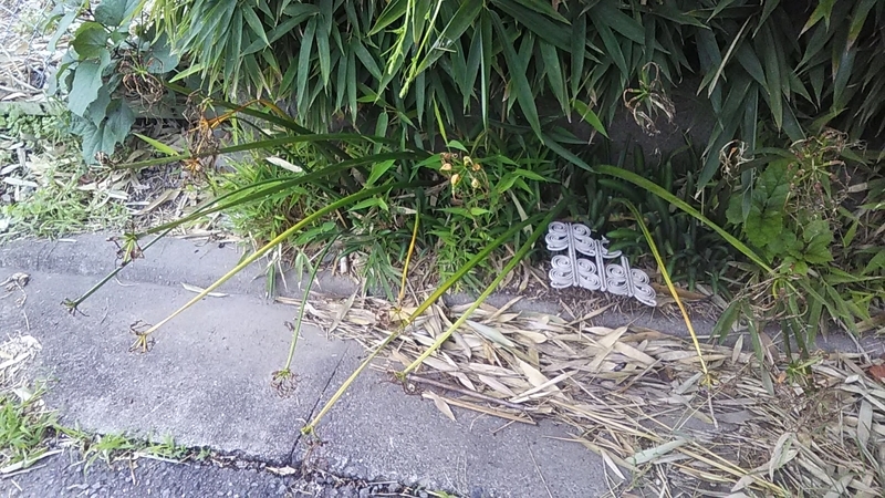 f:id:stantsiya_iriya:20181016165202j:image