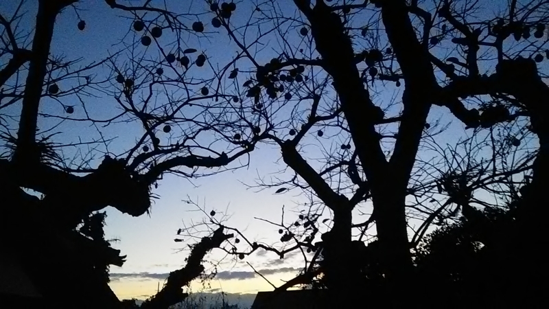 f:id:stantsiya_iriya:20181114210114j:image