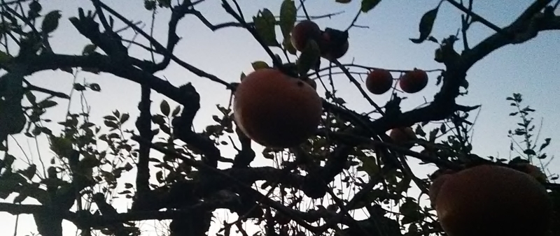 f:id:stantsiya_iriya:20181114214854j:image