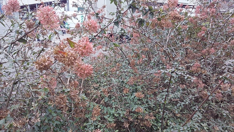 f:id:stantsiya_iriya:20181211090338j:plain f:id:stantsiya_iriya:20181211090338j:plain