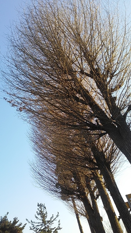 f:id:stantsiya_iriya:20190105234305j:plain f:id:stantsiya_iriya:20190105234305j:plain
