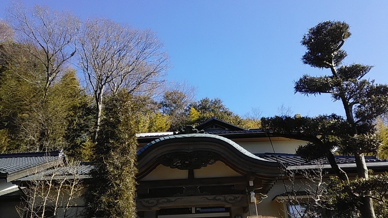 f:id:stantsiya_iriya:20190127165030j:plain f:id:stantsiya_iriya:20190127165030j:plain