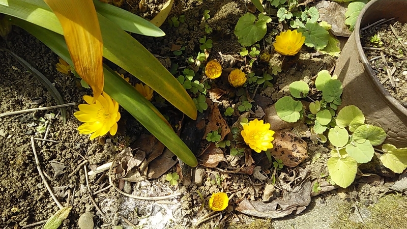 f:id:stantsiya_iriya:20190216180318j:plain f:id:stantsiya_iriya:20190216180318j:plain