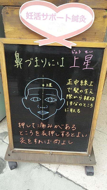 f:id:stantsiya_iriya:20190225223535j:plain f:id:stantsiya_iriya:20190225223535j:plain