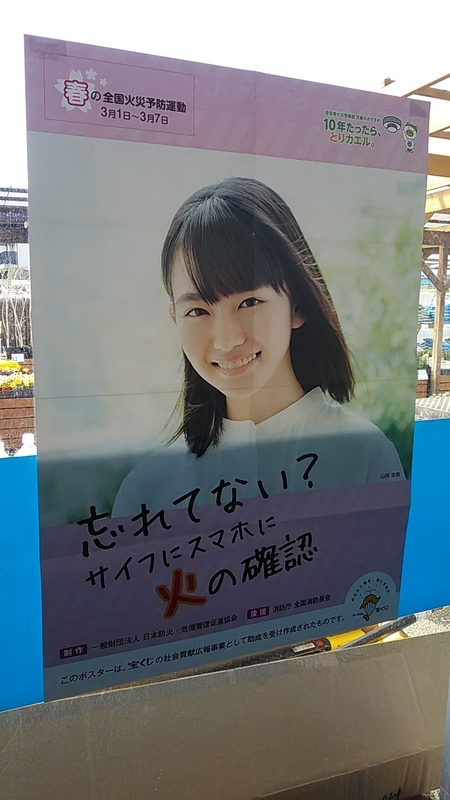 f:id:stantsiya_iriya:20190225223545j:plain f:id:stantsiya_iriya:20190225223545j:plain