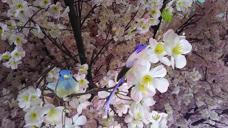 f:id:stantsiya_iriya:20190311184204j:plain f:id:stantsiya_iriya:20190311184204j:plain
