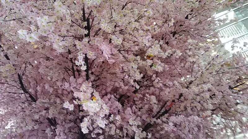 f:id:stantsiya_iriya:20190311184205j:plain f:id:stantsiya_iriya:20190311184205j:plain