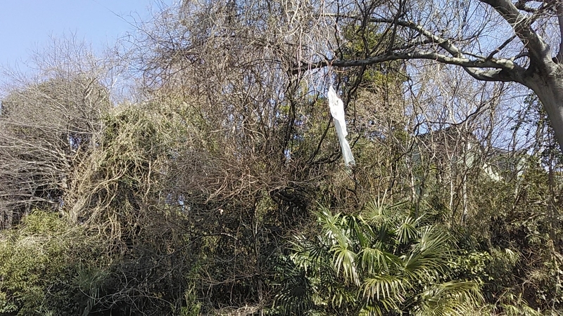 f:id:stantsiya_iriya:20190311184216j:plain f:id:stantsiya_iriya:20190311184216j:plain