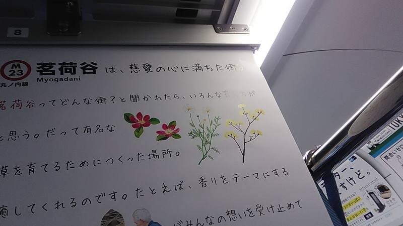 f:id:stantsiya_iriya:20190314082818j:plain