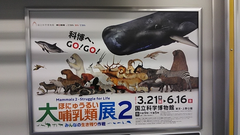 f:id:stantsiya_iriya:20190314215037j:plain