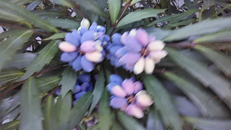 f:id:stantsiya_iriya:20190322211206j:plain f:id:stantsiya_iriya:20190322211206j:plain