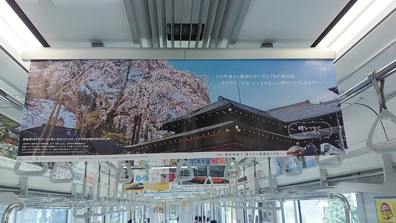 f:id:stantsiya_iriya:20190322232553j:plain f:id:stantsiya_iriya:20190322232553j:plain