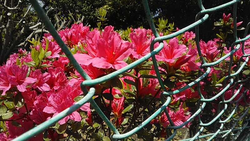 f:id:stantsiya_iriya:20190418115555j:plain f:id:stantsiya_iriya:20190418115555j:plain
