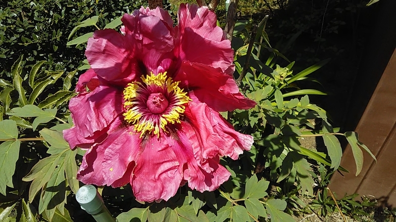 f:id:stantsiya_iriya:20190418115556j:plain f:id:stantsiya_iriya:20190418115556j:plain