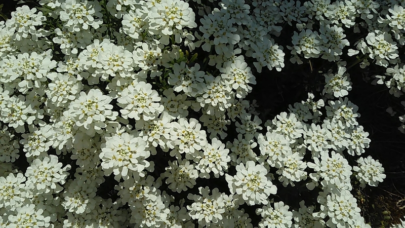 f:id:stantsiya_iriya:20190418115557j:plain f:id:stantsiya_iriya:20190418115557j:plain