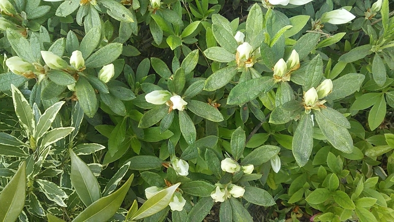 f:id:stantsiya_iriya:20190419224245j:plain f:id:stantsiya_iriya:20190419224245j:plain