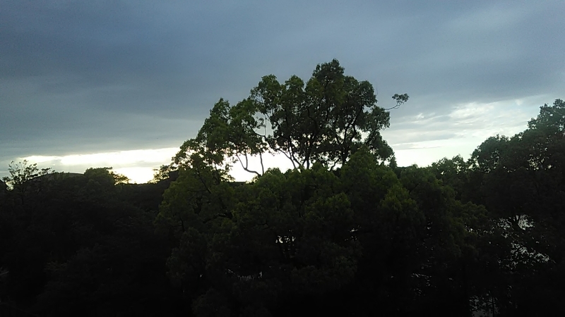 f:id:stantsiya_iriya:20190508074026j:plain f:id:stantsiya_iriya:20190508074026j:plain